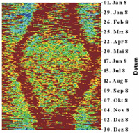 Biometrisches Diagramm